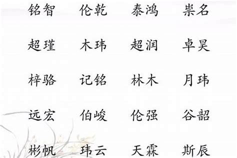 皓意思名字|带皓字的男孩名字